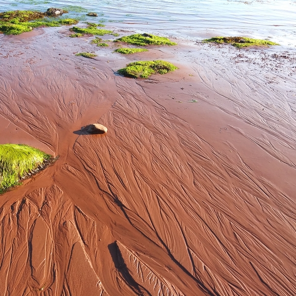 Meet the Posher - Picture 1 of 1